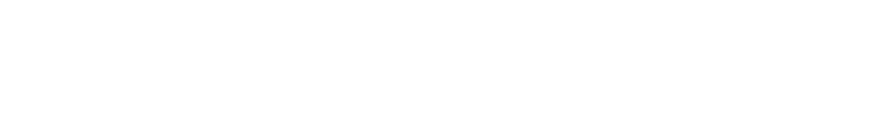 CHUBU JIKOU